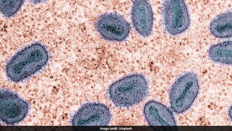 WHO Confirms 2 Cases Of New Mpox Virus Strain In India And UK, Urges Continued Surveillance