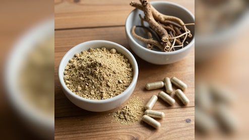 मोटापे का काल है मेदोहर गुग्गुलु जड़ी-बूटी, लिवर से लेकर जोड़ों के दर्द तक में लाभकारी