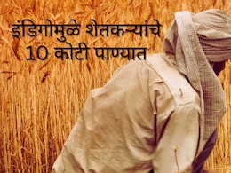 Pune News : इंडिगोच्या गोंधळामुळे शेतकऱ्यांचे 5 दिवसात 10 कोटी पाण्यात; फुल उत्पादक मोठ्या आर्थिक संकटात