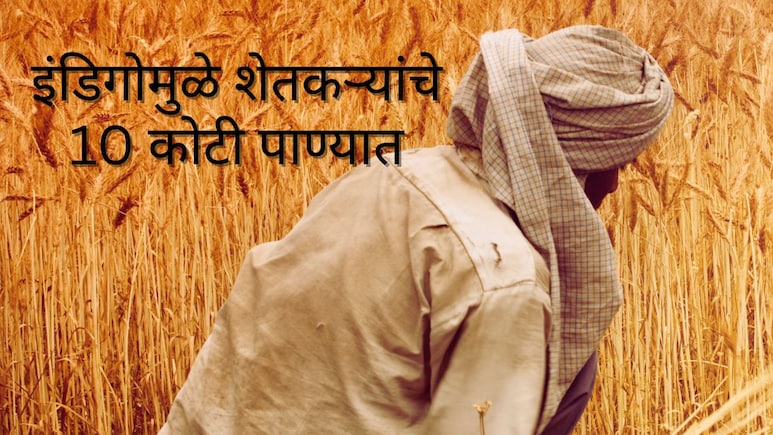 Pune News : इंडिगोच्या गोंधळामुळे शेतकऱ्यांचे 5 दिवसात 10 कोटी पाण्यात; फुल उत्पादक मोठ्या आर्थिक संकटात