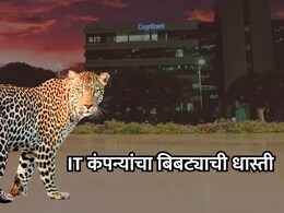 Pune News: बिबट्याची धास्ती; बड्या IT कंपनीची कर्मचाऱ्यांसाठी गाईडलाईन जारी
