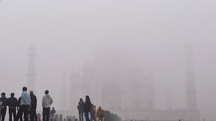 सफेद चादर में लिपटा उत्तर भारत, कई शहरों में विजिबिलिटी जीरो, कोहरे को लेकर IMD ने किया अलर्ट