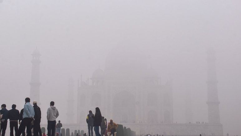 सफेद चादर में लिपटा उत्तर भारत, कई शहरों में विजिबिलिटी जीरो, कोहरे को लेकर IMD ने किया अलर्ट