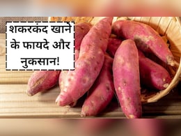 शौक से खाते हैं शकरकंद, तो जान लें हैरान करने वाले फायदे और नुकसान