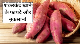शौक से खाते हैं शकरकंद, तो जान लें हैरान करने वाले फायदे और नुकसान