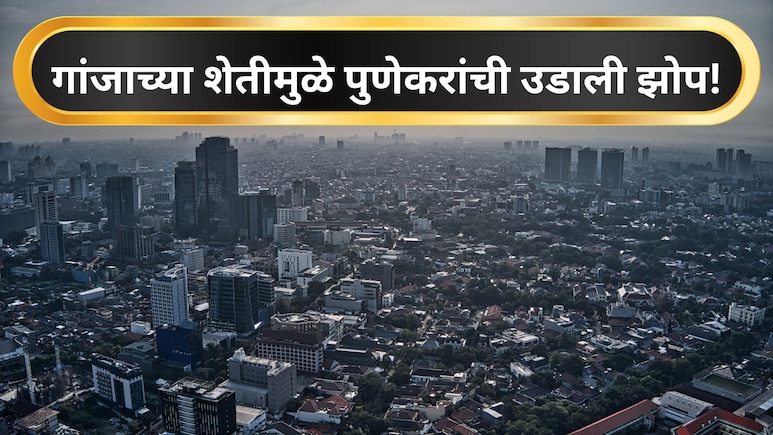 Pune News:  निवडणुकीच्या तोंडावर पुण्यात खळबळ! AI च्या मदतीने गांजाची शेती, MBA इंजिनिअर आरोपींना अटक, Video