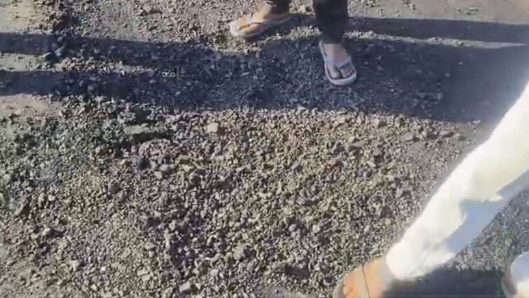 Rajasthan: UDH मंत्री ने दिए थे सड़क निर्माण के लिए 95 लाख, बनने के बाद कुत्तों ने खोली रातों -रात बनी सड़क की हकीकत