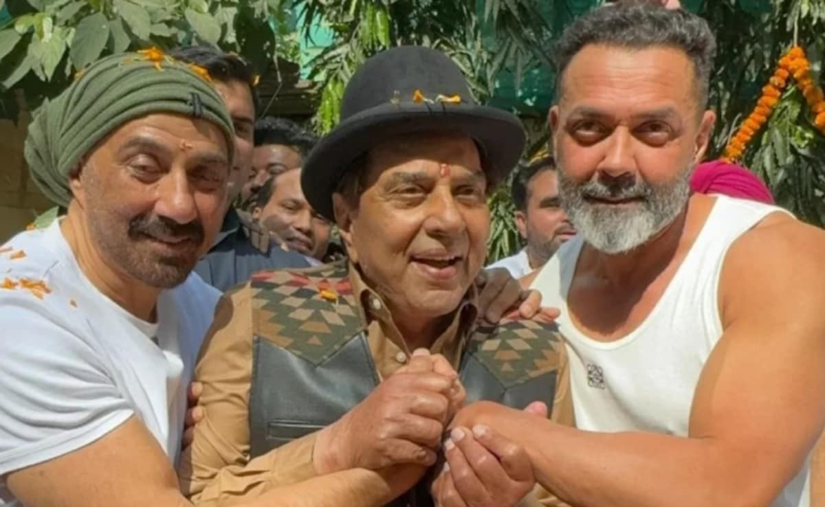 The Art of Baking: From Classic Bread to Artisan Pastries