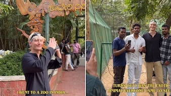'Am I The Exotic Animal?': 'Squid Game' Player's Funny Moment At Indian Zoo