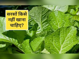 सरसों के साग में कौन से विटामिन होते हैं, साग खाने के बाद गैस क्यों होती है, सरसों का साग किसे नहीं खाना चाहिए