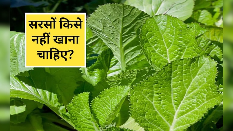 सरसों के साग में कौन से विटामिन होते हैं, साग खाने के बाद गैस क्यों होती है, सरसों का साग किसे नहीं खाना चाहिए