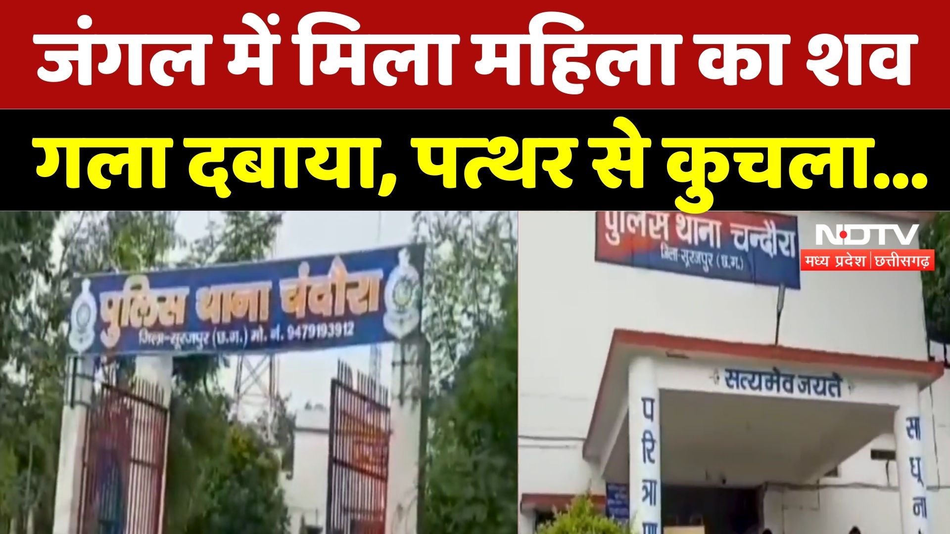 Surajpur News: गला दबाया, पत्थर से कुचला... जंगल में शव मिलने से दहशत!| Breaking | Chhattisgarh | CG