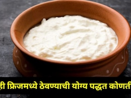 फ्रिजमध्ये ठेवलेलं दही किती दिवस ताजं राहतं? ते दही कधी खाऊ नये? फ्रिजमध्ये ठेवण्याची योग्य पद्धत कोणती?