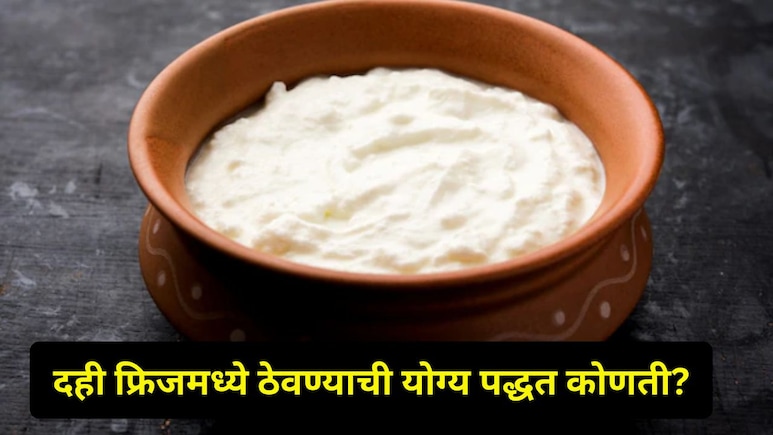 फ्रिजमध्ये ठेवलेलं दही किती दिवस ताजं राहतं? ते दही कधी खाऊ नये? फ्रिजमध्ये ठेवण्याची योग्य पद्धत कोणती?