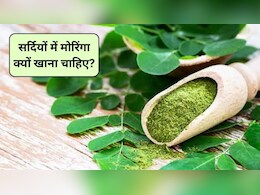 इस पत्ते में कूट-कूट कर भरे हैं पोषक तत्व, दिल-दिमाग समेत शरीर को मिलेंगे ये 5 फायदे, जानिए सर्दियों में मोरिंगा क्यों खाना चाहिए?