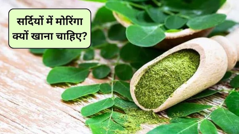 इस पत्ते में कूट-कूट कर भरे हैं पोषक तत्व, दिल-दिमाग समेत शरीर को मिलेंगे ये 5 फायदे, जानिए सर्दियों में मोरिंगा क्यों खाना चाहिए?
