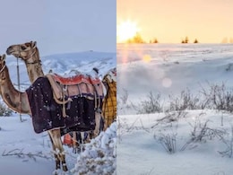 Does It Snow In Saudi Arabia?