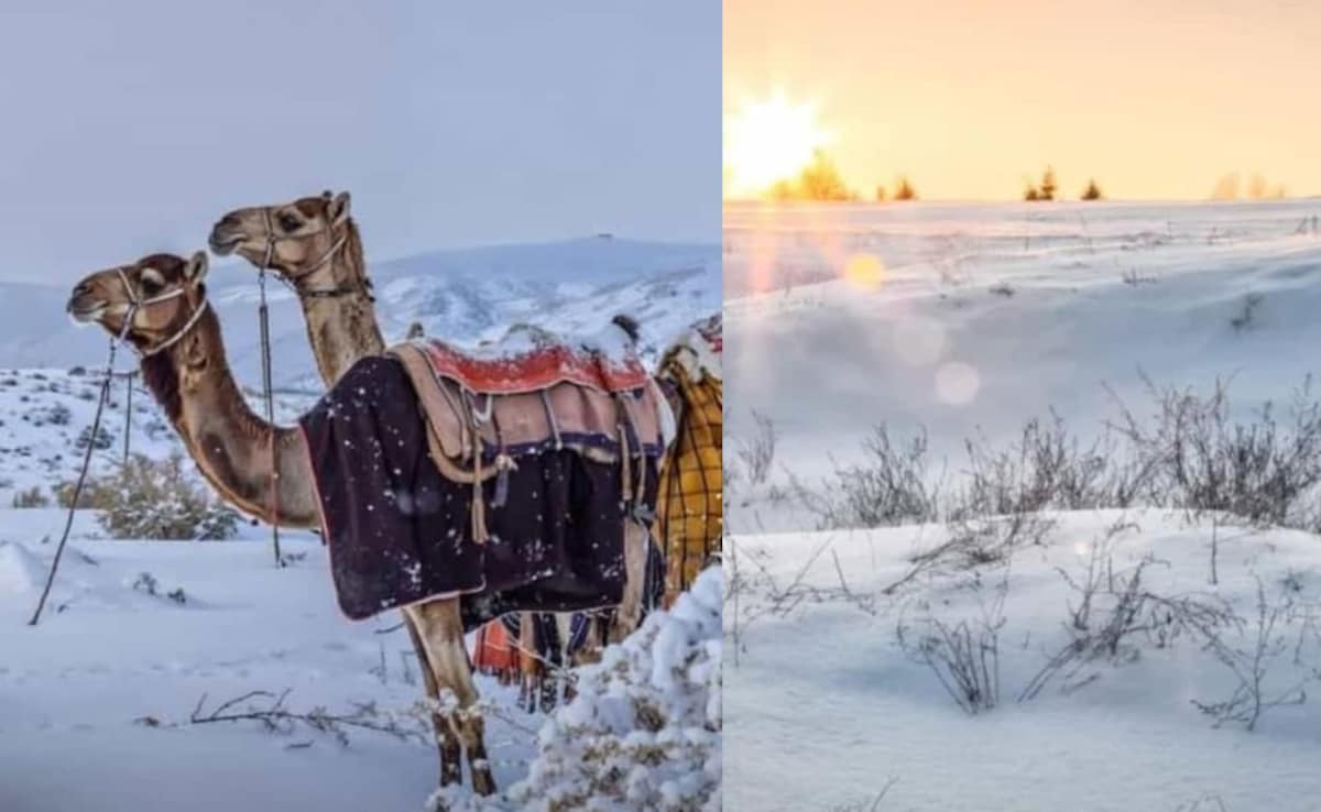 Watch: Saudi Arabia's Desert Turns White With Rare Winter Snowfall