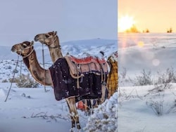 Watch: Saudi Arabia's Desert Turns White With Rare Winter Snowfall