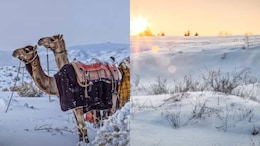 Watch: Saudi Arabia's Desert Turns White With Rare Winter Snowfall
