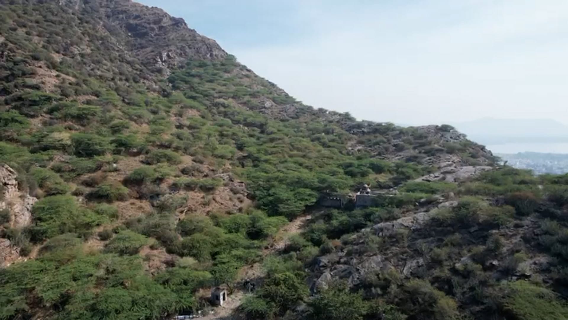 Green Lungs Under Threat: Fears Grow Over Aravalli Hills Protection