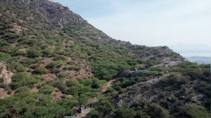 Green Lungs Under Threat: Fears Grow Over Aravalli Hills Protection