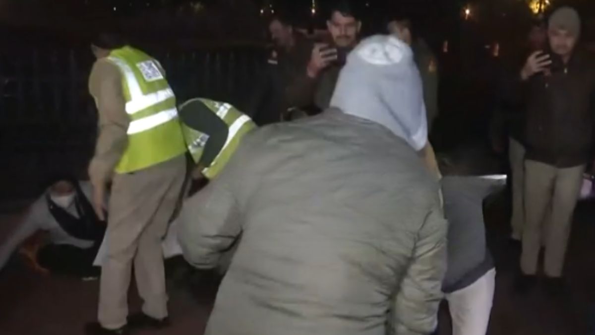 Unnao Rape Survivor's Mother Manhandled, Blocked From Protest In Delhi