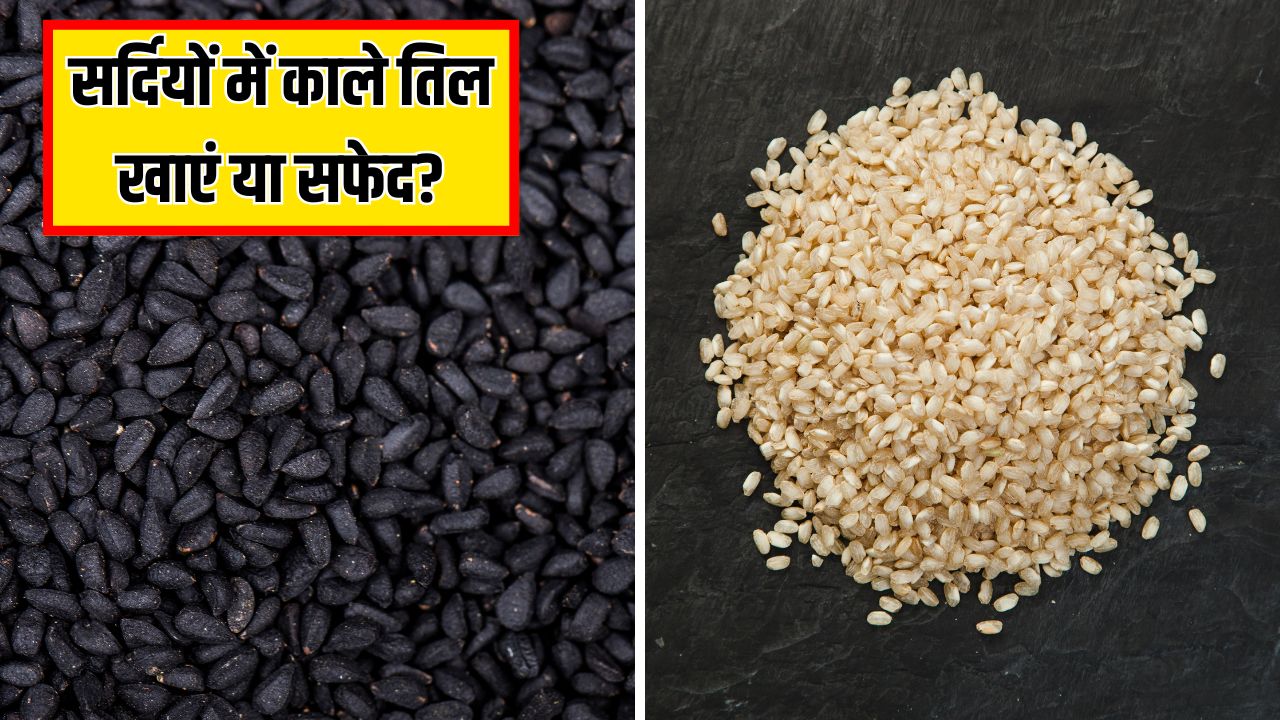 काले तिल और सफेद तिल में से कौन सा अच्छा है? न्यूट्रिशनिस्ट ने बताया सर्दियों में क्या खाने से मिलेंगे ज्यादा फायदे