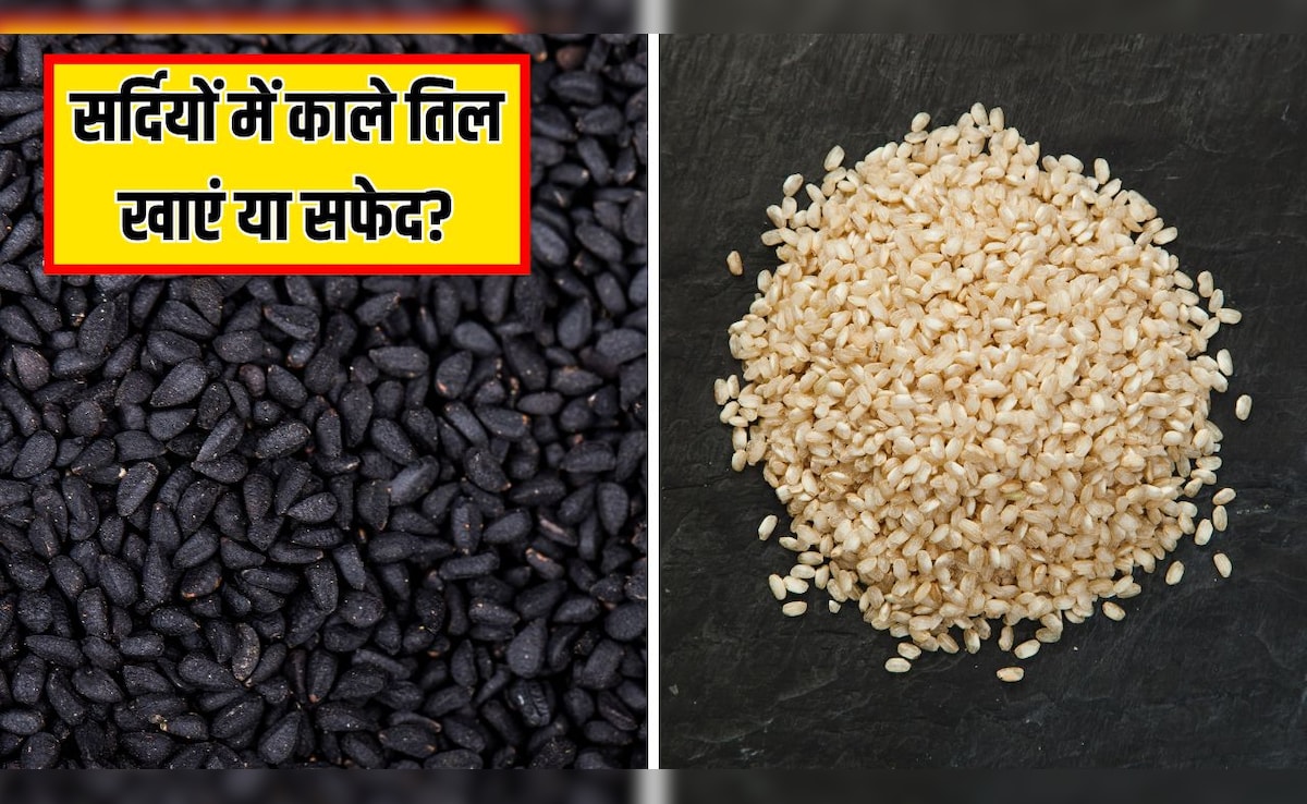 काले तिल-सफेद तिल में से कौन सा अच्छा है? न्यूट्रिशनिस्ट ने बताया सर्दी में क्या खाने से मिलेंगे ज्यादा फायदे