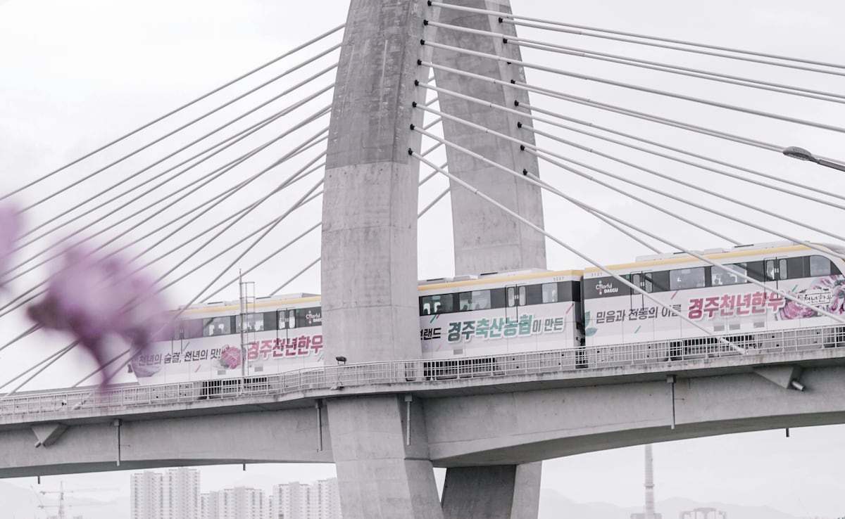 South Korea May Soon Let Tourists Use Credit Cards For Public Transport