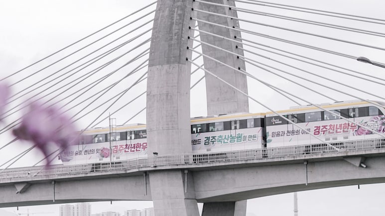 South Korea May Soon Let Tourists Use International Credit Cards For Public Transport