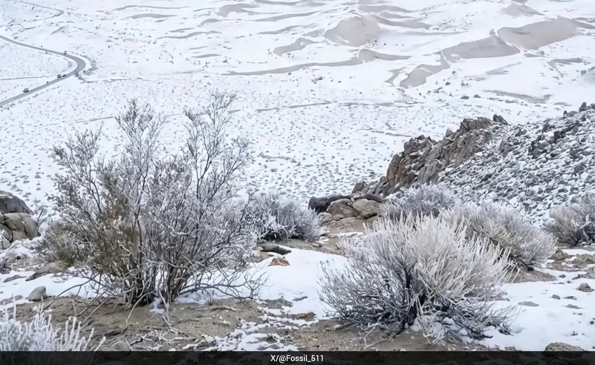 Saudi Arabia Sees First Snowfall In 3 Decades, Iceland Records 20 Degree Celsius
