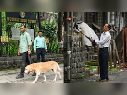 बॉम्बे हाईकोर्ट समेत कई अदालतों, बैंकों, कलक्ट्रेट को बम से उड़ाने की धमकी, मुंबई से नागपुर तक हड़कंप