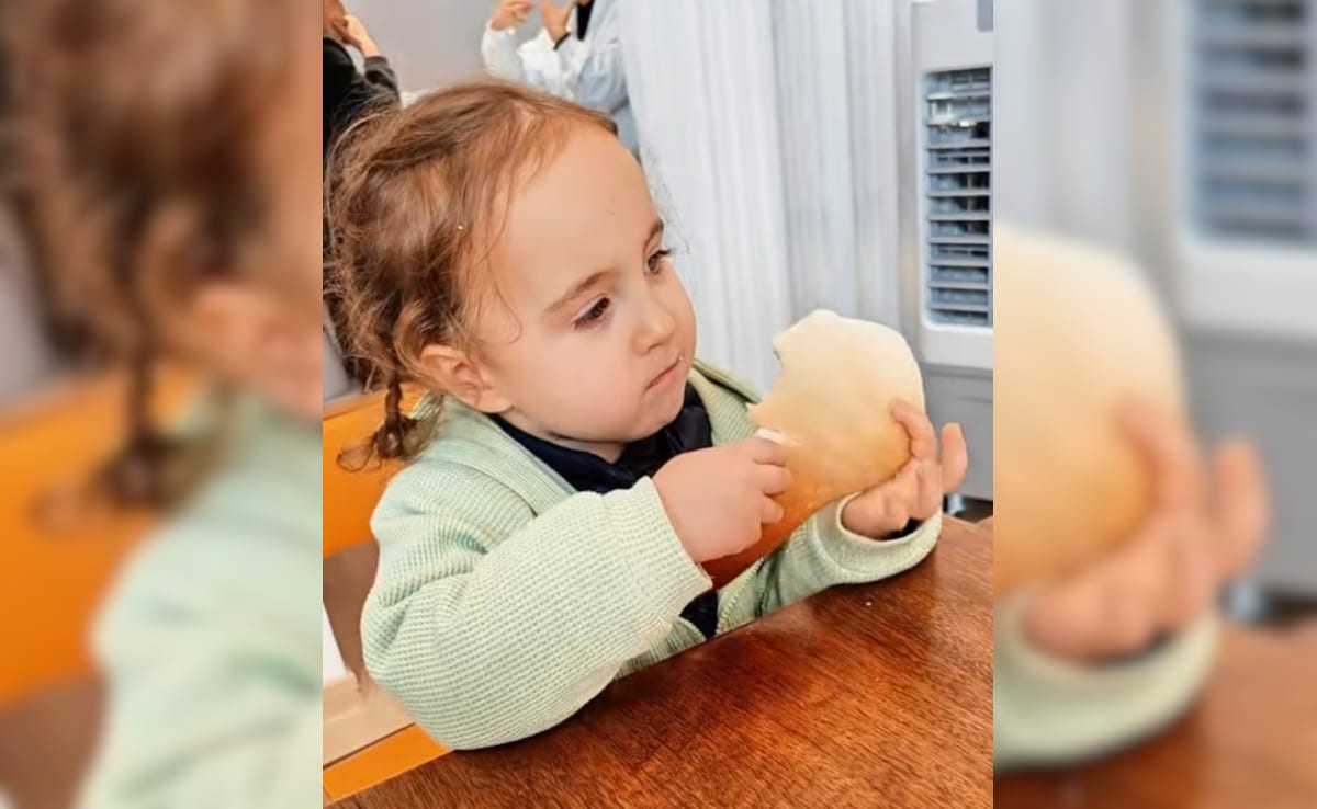 Latest and Breaking News on NDTV