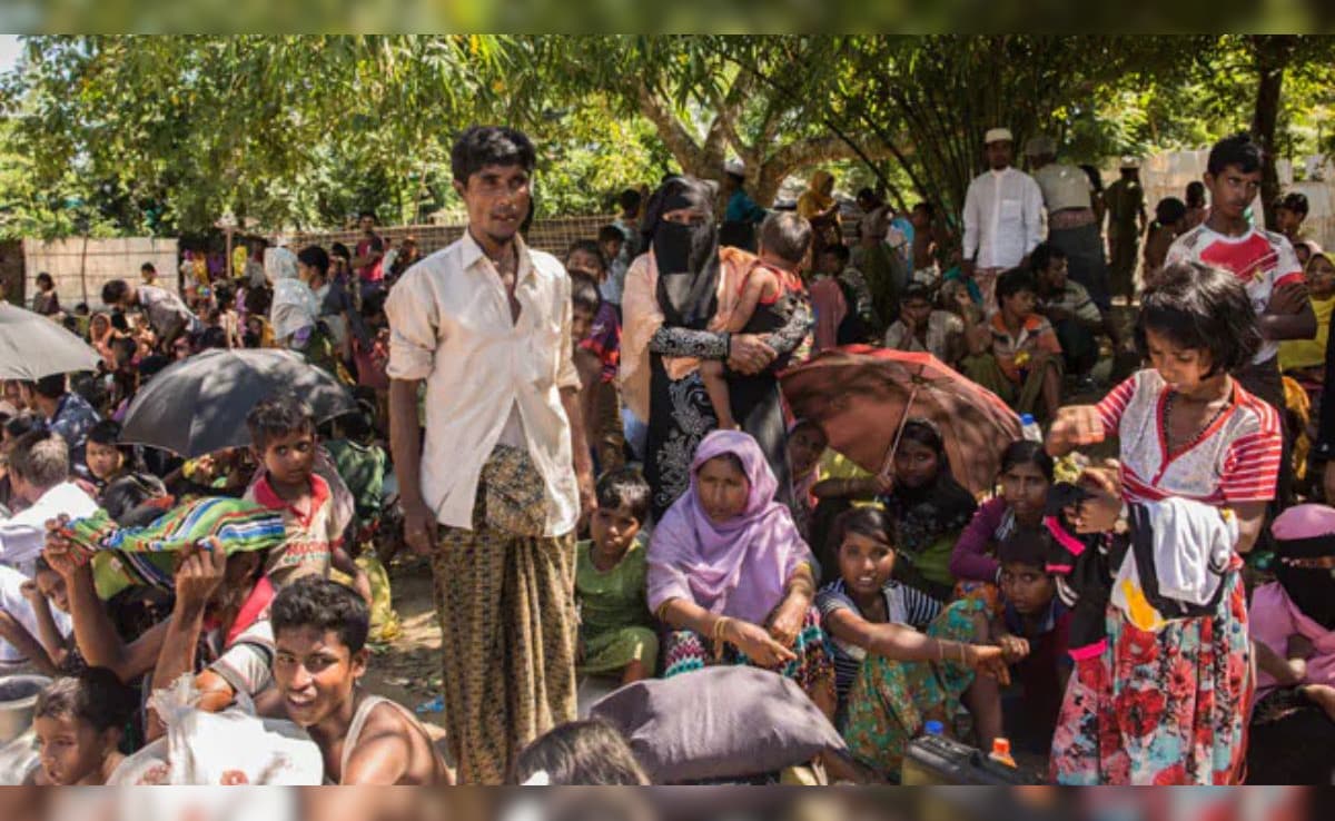 Latest and Breaking News on NDTV