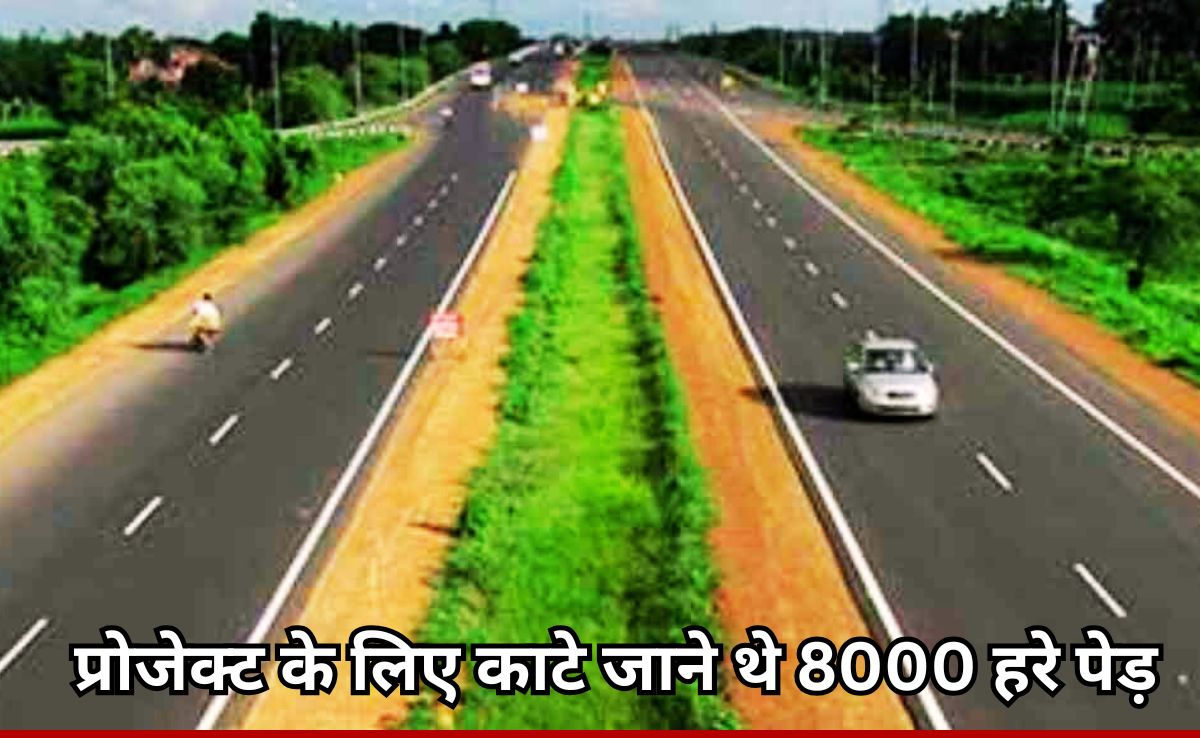 मध्य प्रदेश सरकार को झटका, एनजीटी ने बायपास चौड़ीकरण के लिए 8000 हरे पेड़ों के काटने पर लगाई रोक