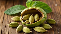 Cardamom Elaichi Benefits: वेलची थंड का गरम ? रात्री झोपण्यापूर्वी दोन वेलची खाल्ल्यास काय होते? न्यूट्रिशनिस्टने सांगितले फायदे