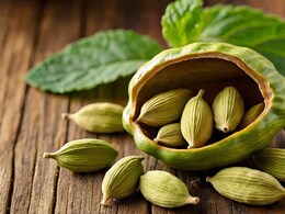 Cardamom Elaichi Benefits: वेलची थंड का गरम ? रात्री झोपण्यापूर्वी दोन वेलची खाल्ल्यास काय होते? न्यूट्रिशनिस्टने सांगितले फायदे