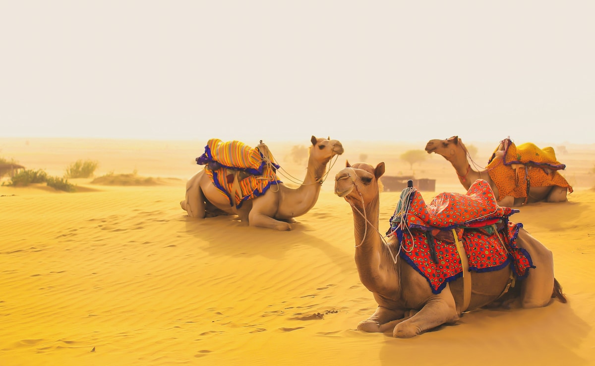 Latest and Breaking News on NDTV