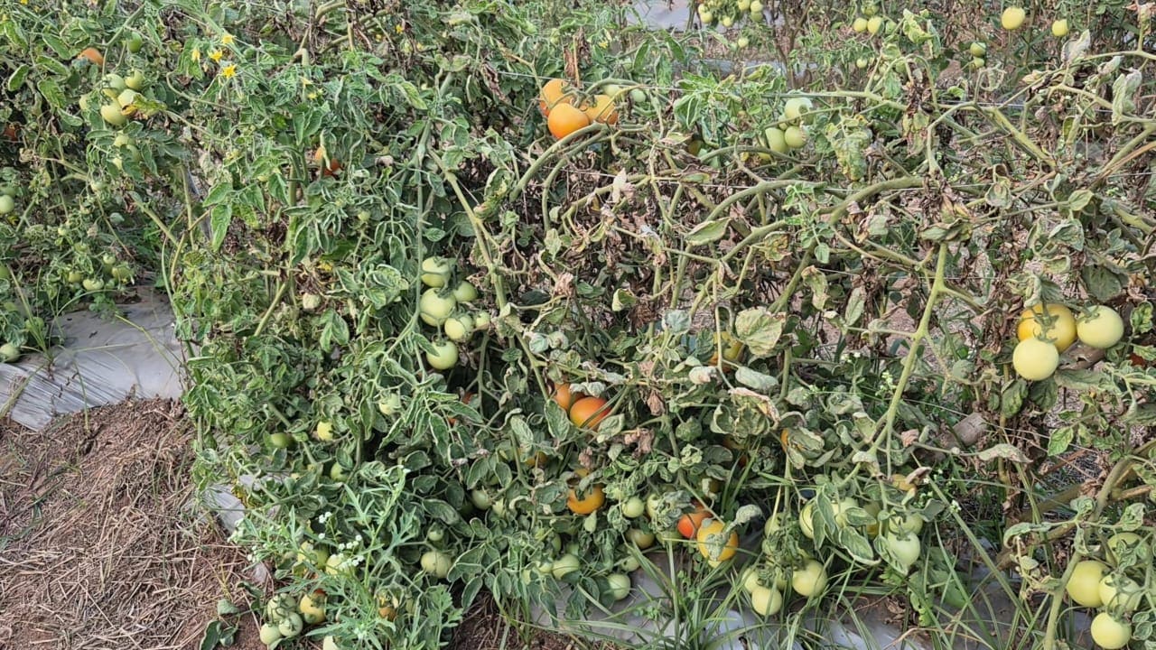 Latest and Breaking News on NDTV Latest and Breaking News on NDTV