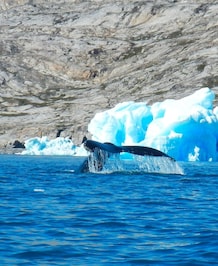 Which Is The World's Smallest Ocean