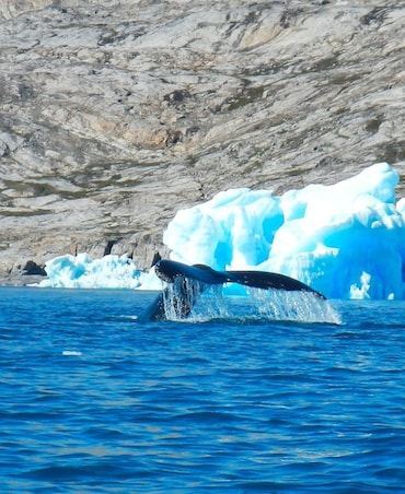 Which Is The World's Smallest Ocean