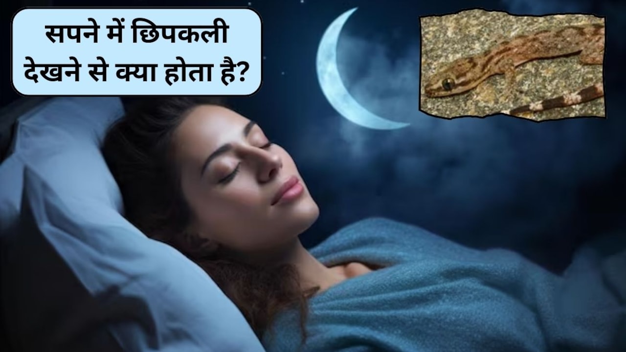 Samudrik Shastra 2026: सपने में छिपकली देखना किस बात का होता है संकेत? आपकी जिंदगी में होने वाले हैं ये 3 बदलाव