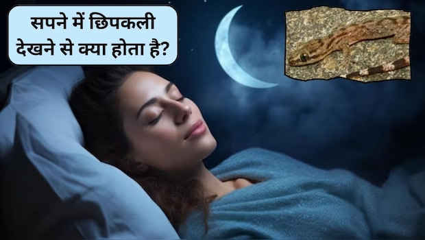 Samudrik Shastra 2026: सपने में छिपकली देखना किस बात का होता है संकेत? आपकी जिंदगी में होने वाले हैं ये 3 बदलाव