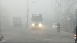 MP Weather Today: कड़ाके का जाड़ा और कोहरे की मार, 14 जिलों में अलर्ट, पचमढ़ी सबसे ठंडा; कब मिलेगी राहत?