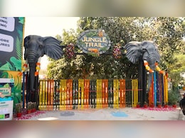 Noida Jungle Trail: न्यू ईयर पर कम बजट में बच्चों को घुमाएं दिल्ली-NCR का सबसे बेहतरीन पार्क, दिखेगी जंगली जानवरों की झलक, ये रही पूरी जानकारी
