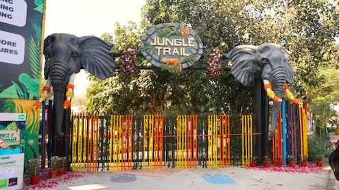 Noida Jungle Trail: न्यू ईयर पर कम बजट में बच्चों को घुमाएं दिल्ली-NCR का सबसे बेहतरीन पार्क, दिखेगी जंगली जानवरों की झलक, ये रही पूरी जानकारी