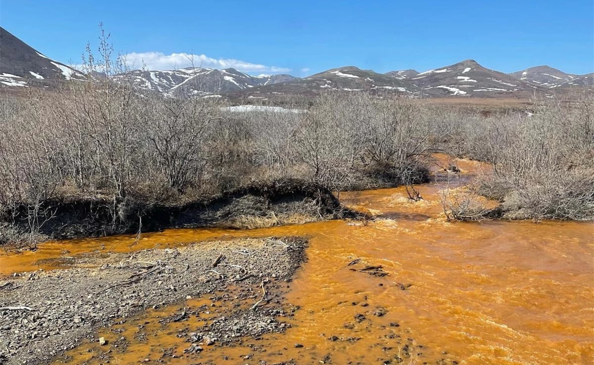 Scientists Find Climate Change Is Reducing Oxygen In Rivers Worldwide