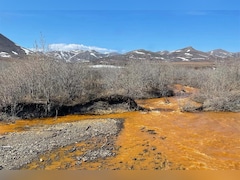 Scientists Find Climate Change Is Reducing Oxygen In Rivers Worldwide
