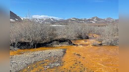 Scientists Find Climate Change Is Reducing Oxygen In Rivers Worldwide